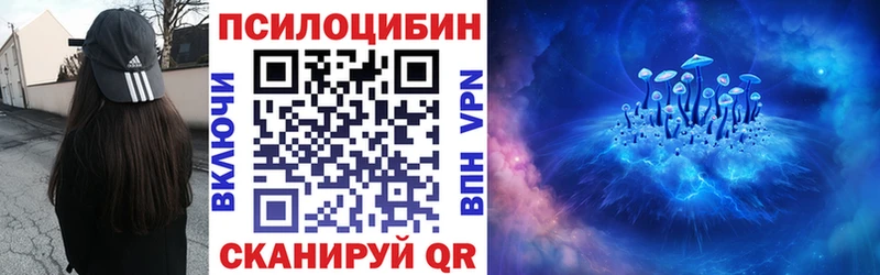 Купить  Малая Вишера  Псилоцибиновые грибы Magic Shrooms 